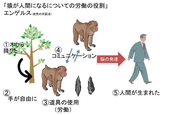 サルが人間になるにあたっての労働の役割 : 原典解説(伊藤嘉昭